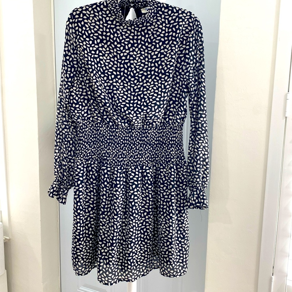 She + Sky chiffon lines dress with romantic detail